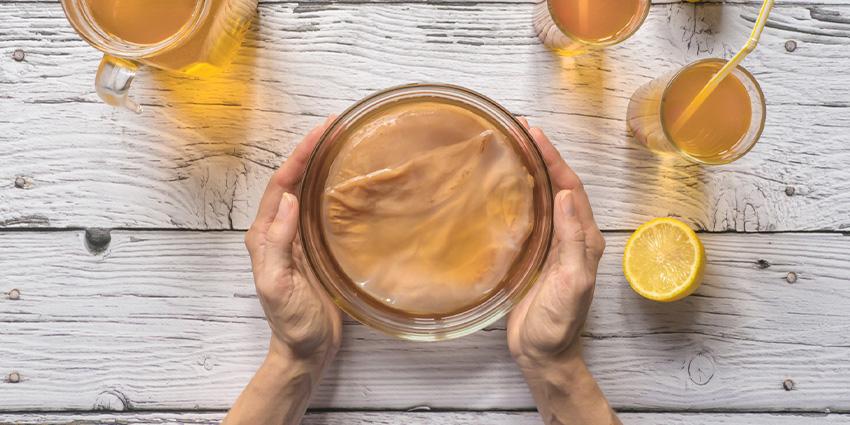 ¿Qué es la kombucha? Descubre su origen, maneras de tomarla y consejos